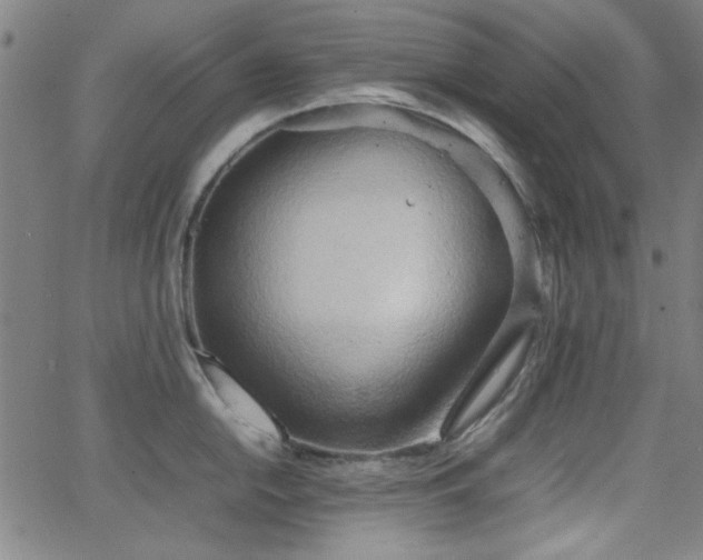 X0000064041054200601271157