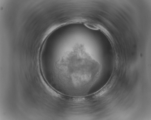 X0000064041055200601271157