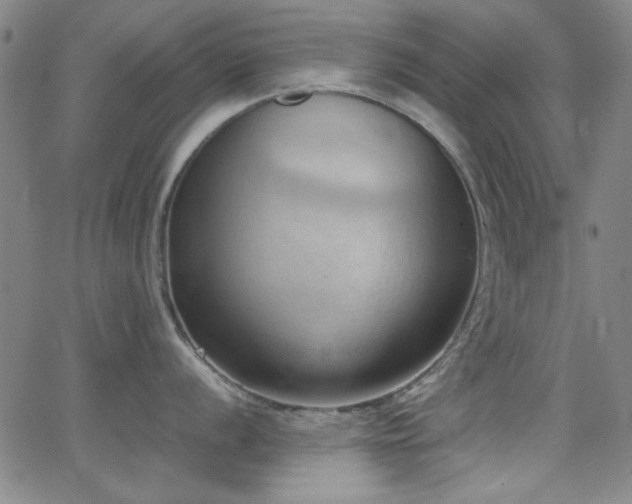 X0000064041056200601271157