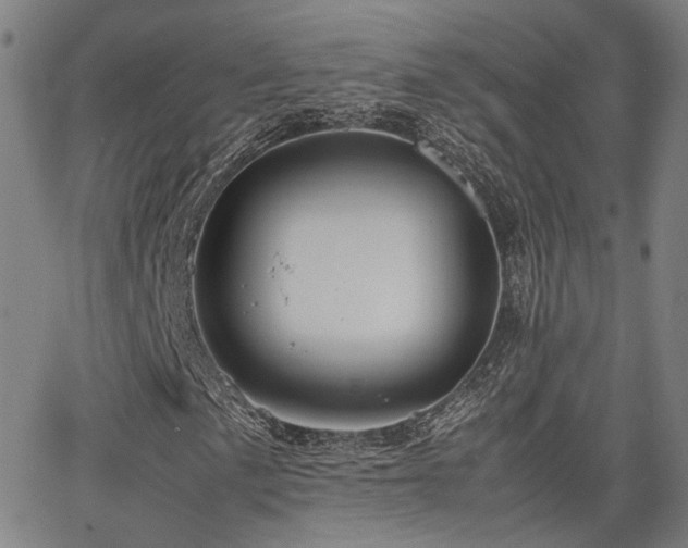 X0000064041057200601271156