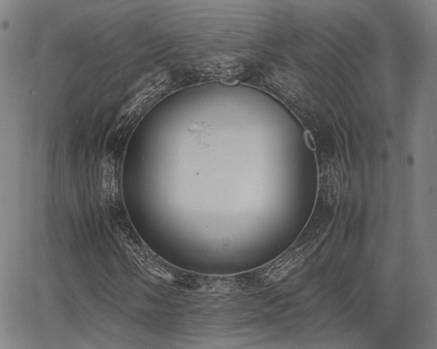 X0000064041058200601271156