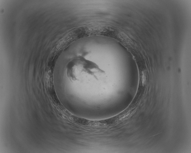 X0000064041059200601271156