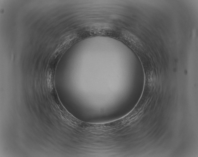 X0000064041060200601271156