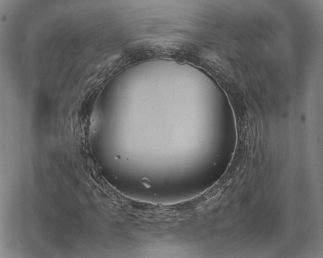 X0000064041061200601271156