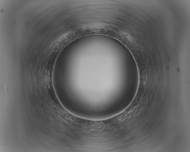 X0000064041062200601271156