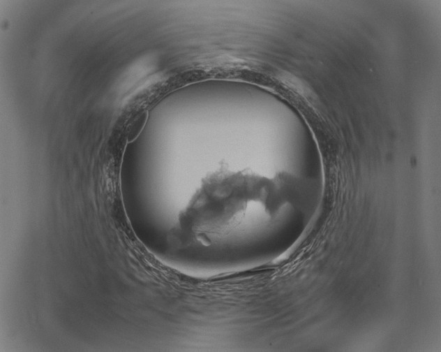 X0000064041063200601271156