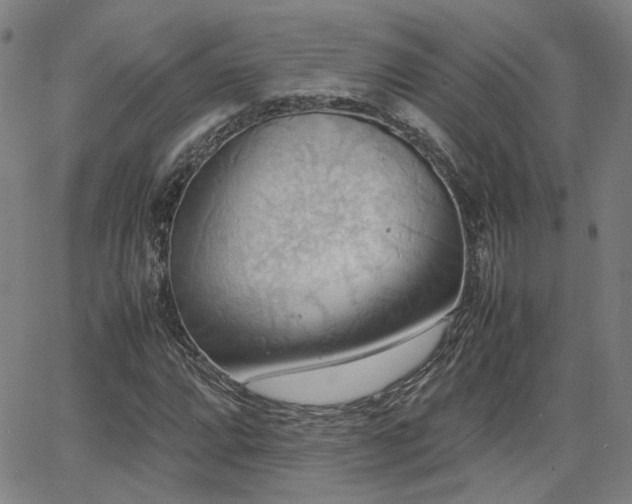 X0000064041064200601271156