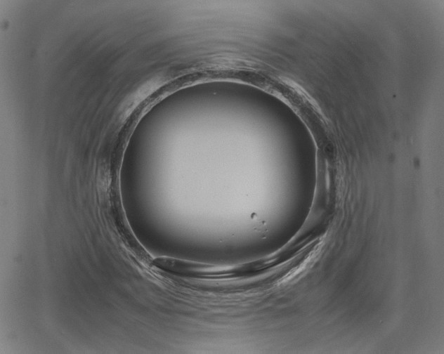 X0000064041065200601271156