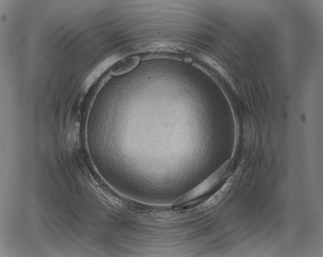 X0000064041066200601271156