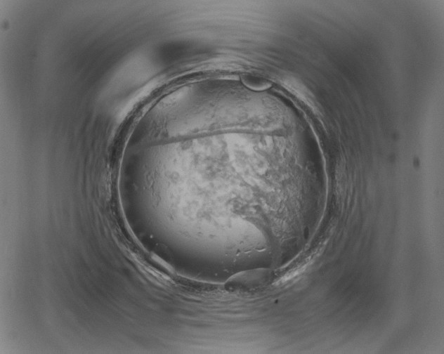 X0000064041067200601271156