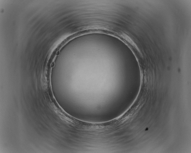 X0000064041068200601271156