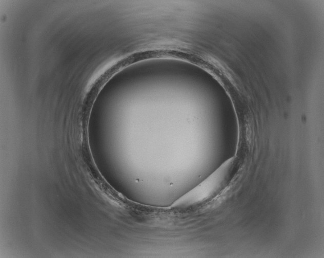 X0000064041069200601271156