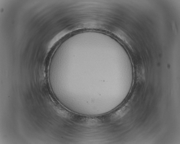 X0000064041070200601271156