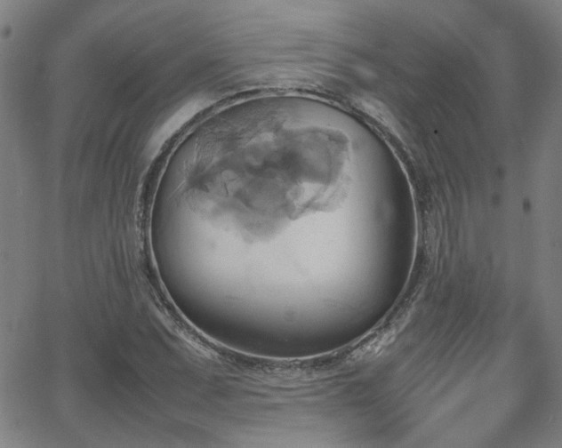 X0000064041071200601271156