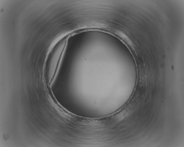 X0000064041072200601271156