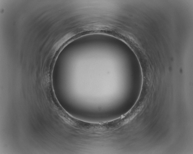 X0000064041073200601271156