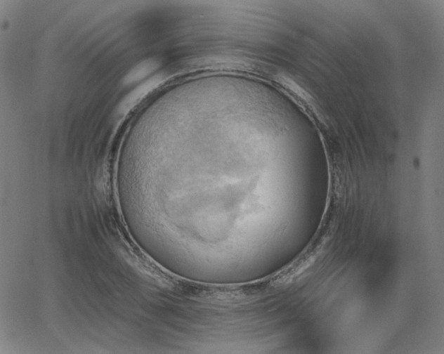 X0000064041074200601271156