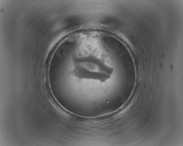 X0000064041075200601271156