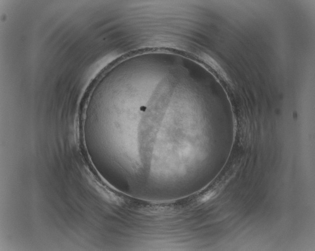 X0000064041076200601271156