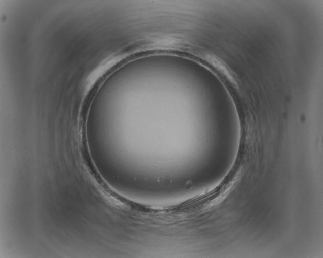 X0000064041077200601271156