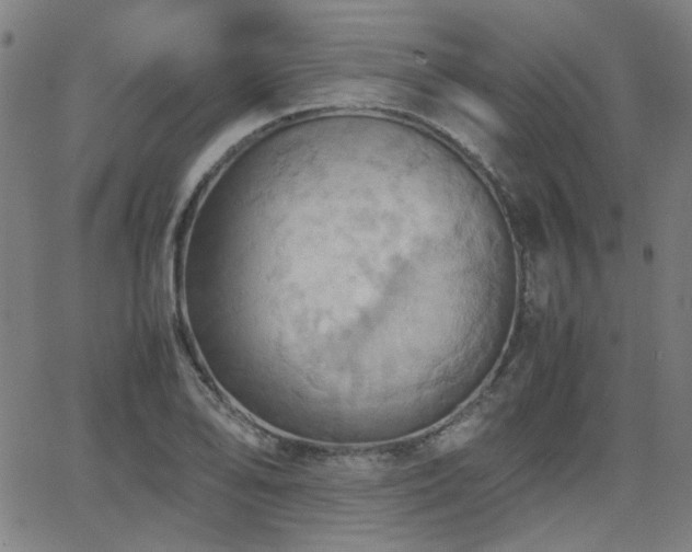 X0000064041078200601271156