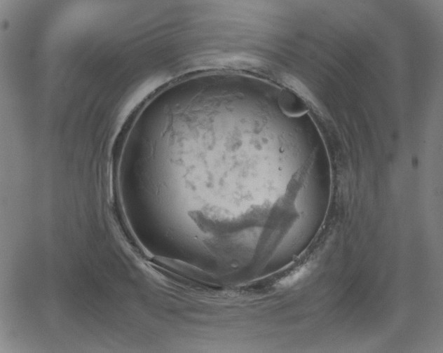 X0000064041079200601271156