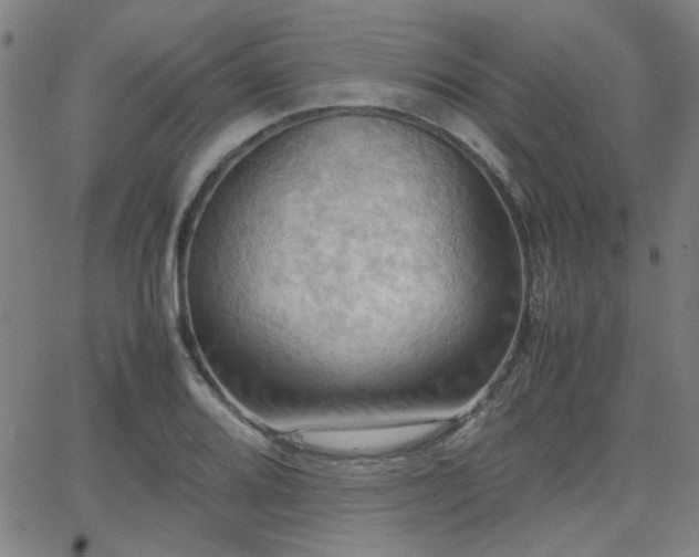 X0000064041080200601271156