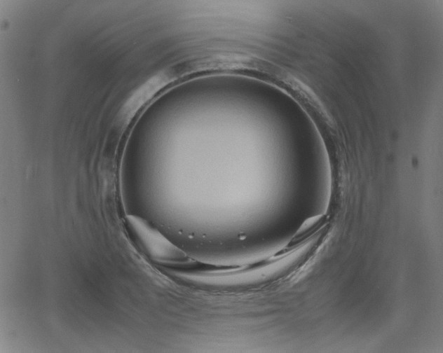 X0000064041081200601271156