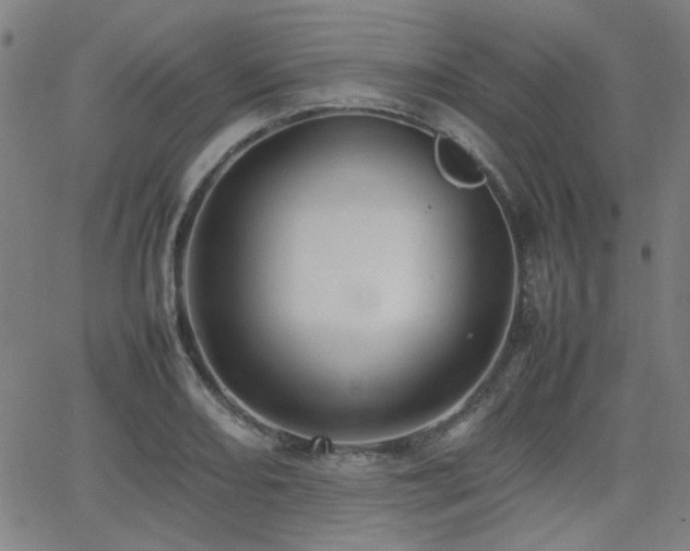 X0000064041082200601271156