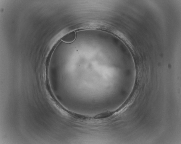 X0000064041083200601271156