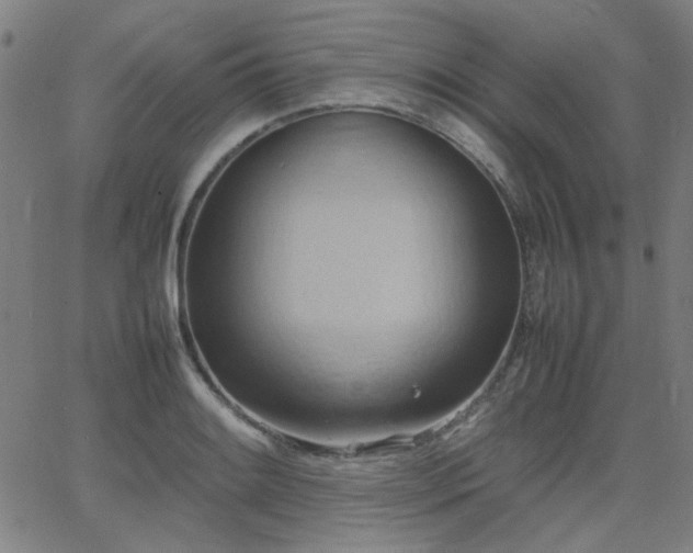 X0000064041084200601271156