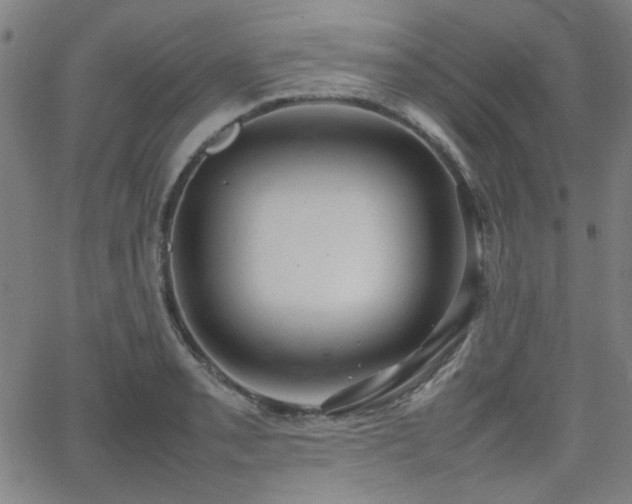 X0000064041085200601271156