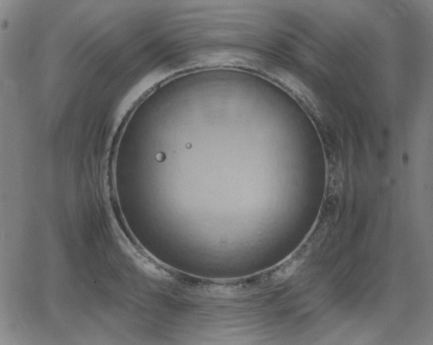 X0000064041086200601271156