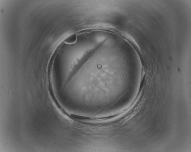 X0000064041087200601271156