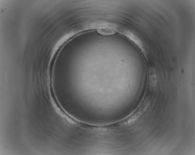 X0000064041088200601271156