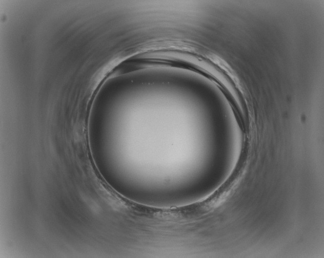 X0000064041089200601271156