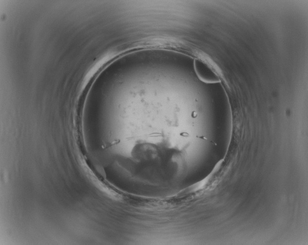 X0000064041091200601271156