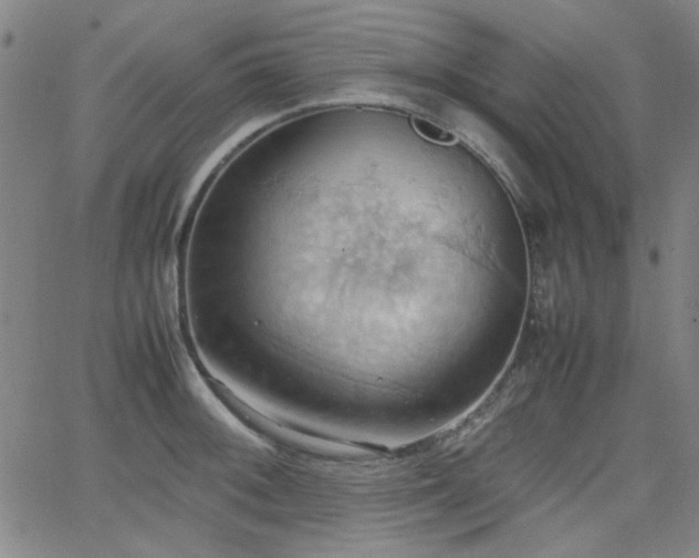 X0000064041092200601271156