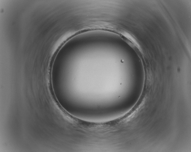 X0000064041093200601271156