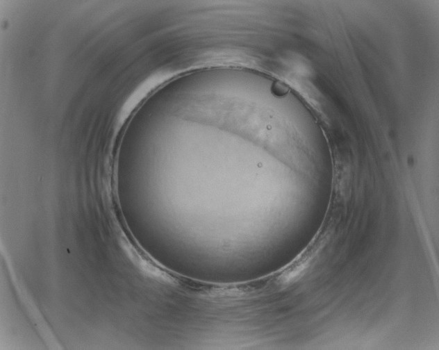 X0000064041094200601271156