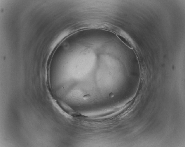 X0000064041095200601271156