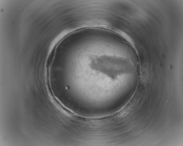 X0000064041096200601271156