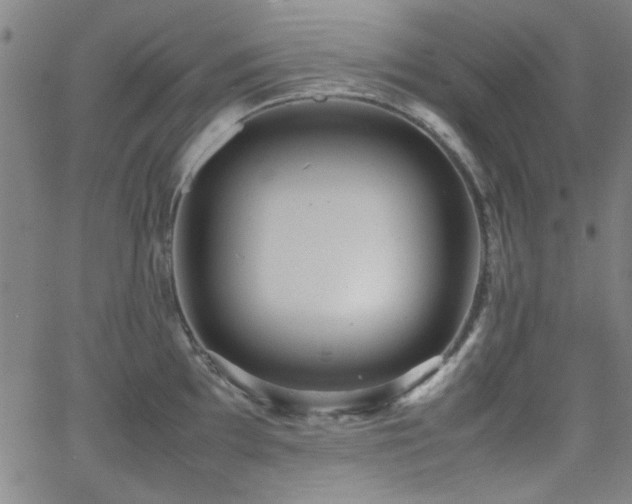 X0000064041097200601271156