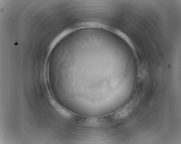 X0000064041098200601271156