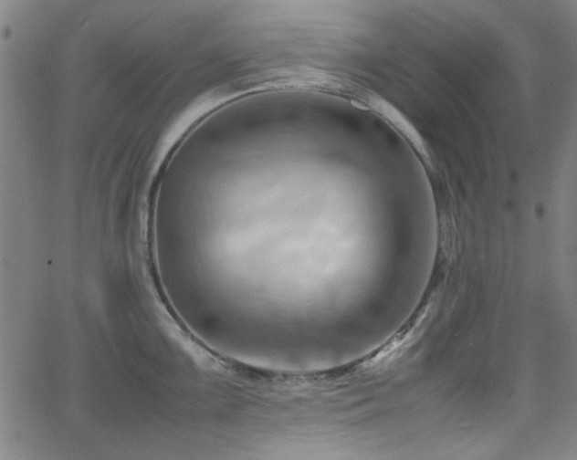 X0000064041099200601271156