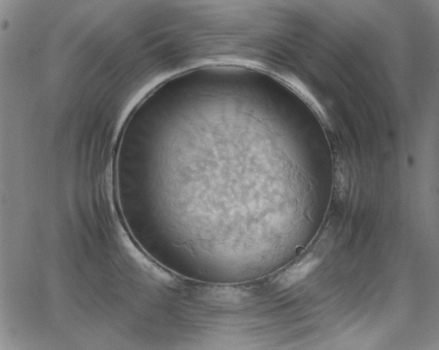 X0000064041100200601271156