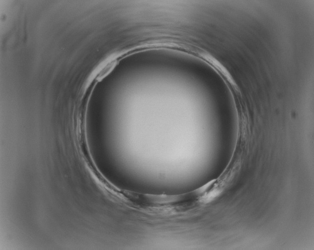 X0000064041101200601271156