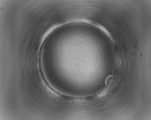 X0000064041102200601271156