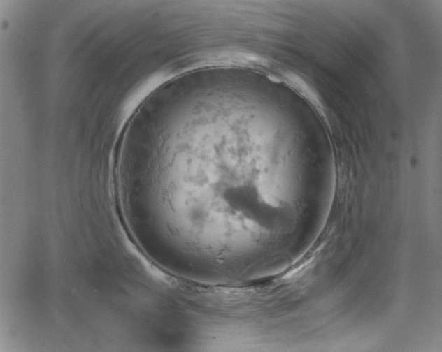 X0000064041103200601271156