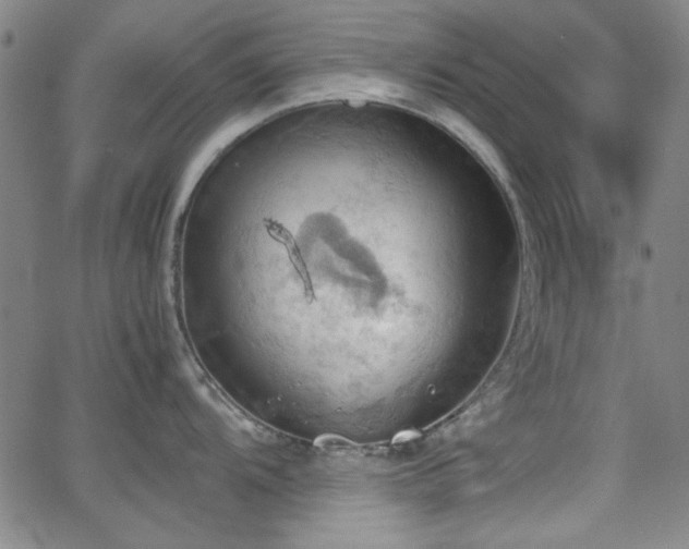 X0000064041104200601271156